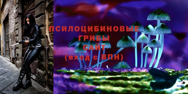 jwh Богородск