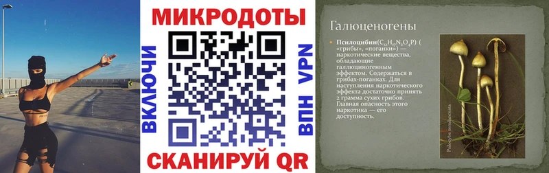 Галлюциногенные грибы прущие грибы  Грязи 